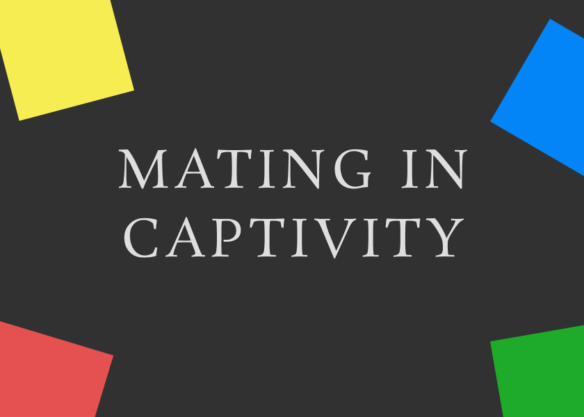 Bookcover to Mating in Captivity by Esther Perel.