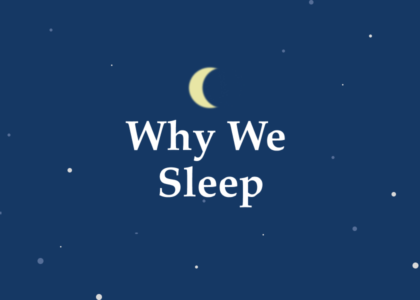 Why We Sleep by Matthew Walker - Summary